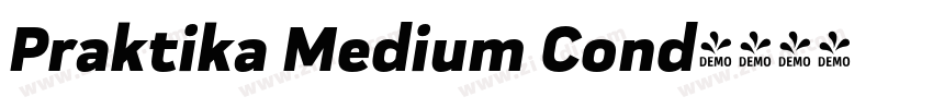 Praktika Medium Cond字体转换